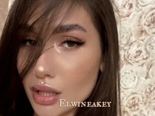 Elwineakey