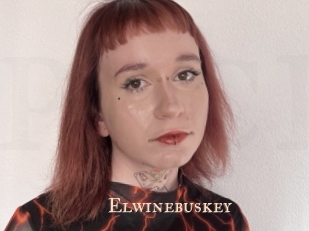 Elwinebuskey