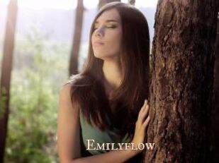 Emilyflow