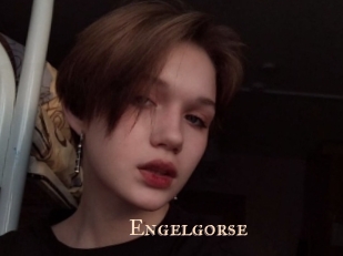Engelgorse