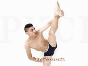Ericksommer