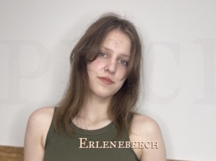 Erlenebeech