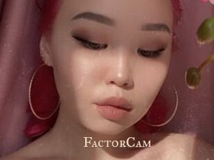 FactorCam