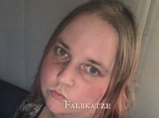 Falbkatze