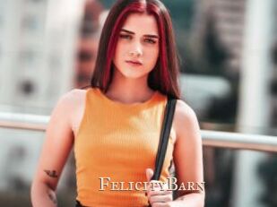 FelicityBarn