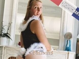 Feline18