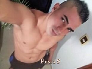 Fenix_S