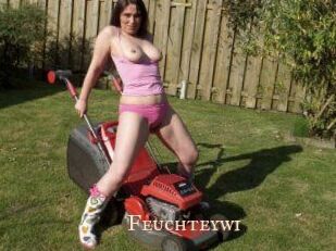 Feuchteywi