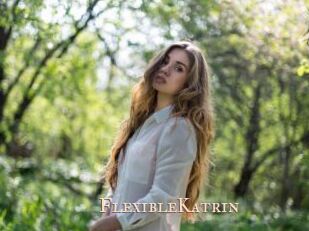 FlexibleKatrin