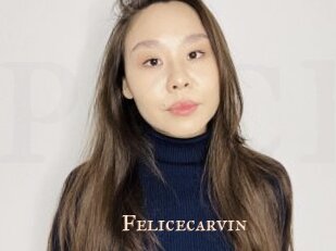Felicecarvin