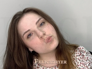 Felicedryer
