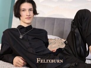Felixburn