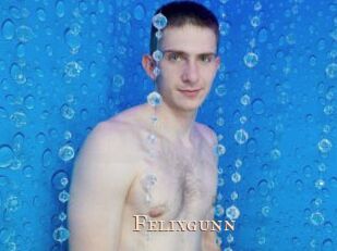 Felixgunn