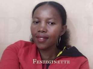 Fenieginette