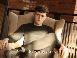 Flashwallis