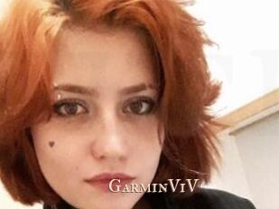 GarminViV