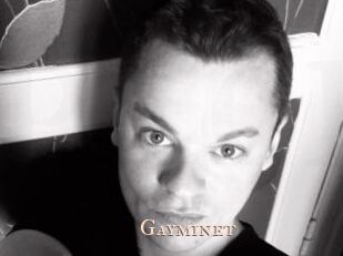 Gayminet