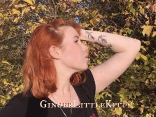 GingerLittleKitty