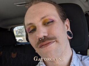 Gatorcatnb