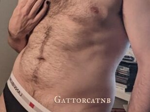 Gattorcatnb