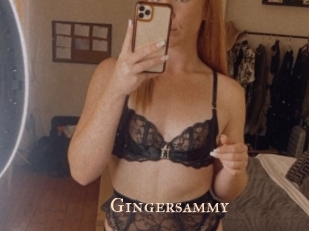 Gingersammy