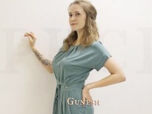 Gunesh
