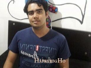 HairybigHo