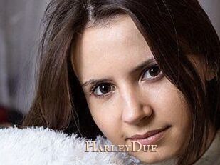 Harley_Due