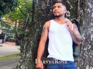 HarveyRose