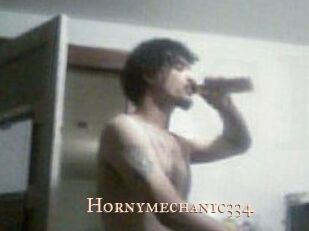 Hornymechanic334