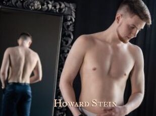 Howard_Stein