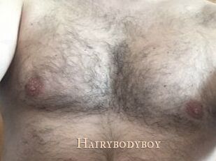Hairybodyboy