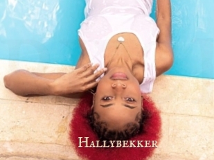 Hallybekker