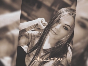 Harleyboo