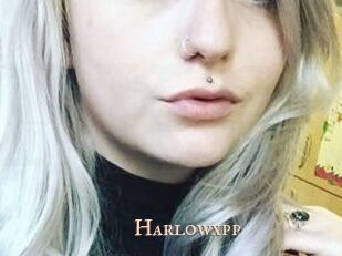 Harlowxpp