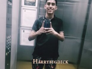 Harrybigdick