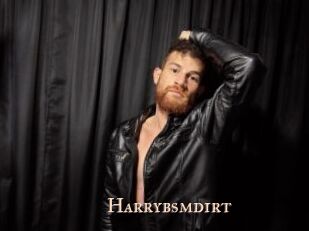 Harrybsmdirt