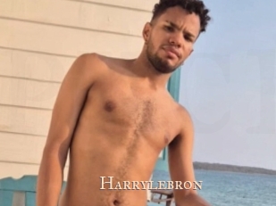 Harrylebron
