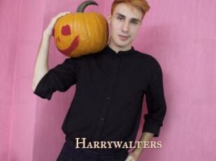 Harrywalters