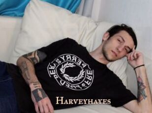 Harveyhayes