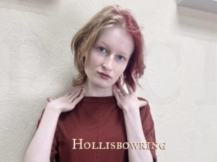 Hollisbowring