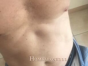 Homealone222