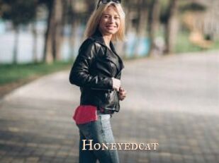 Honeyedcat