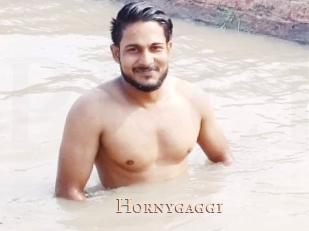 Hornygaggi