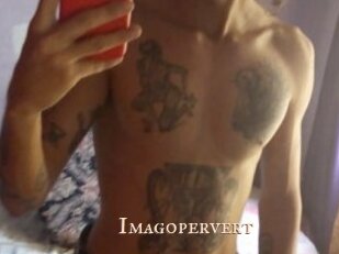 Imagopervert