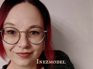 Inezmodel