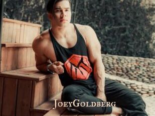 JoeyGoldberg