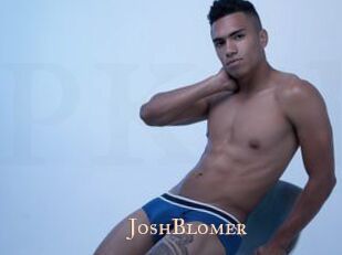 JoshBlomer