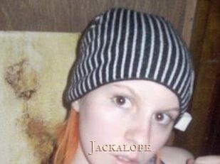 Jackalope