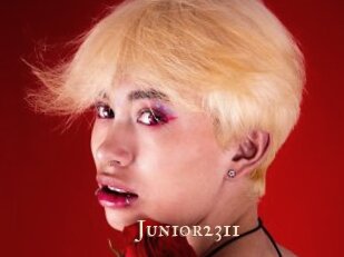 Junior2311